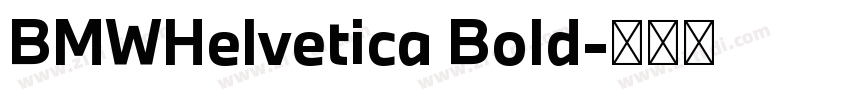BMWHelvetica Bold字体转换